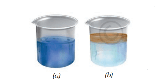(a) कुछ द्रव जल के साथ मिश्रित हो जाते हैं जबकि (b) कुछ नहीं होते